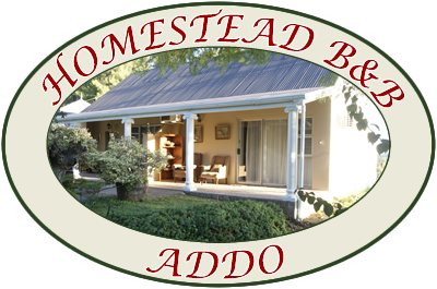 Accommodation Addo - logo
